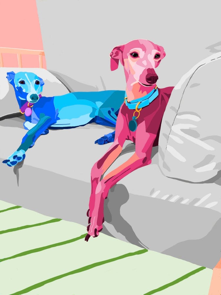 D3dce39a F54a 4426 9d14 C483f7a94a96