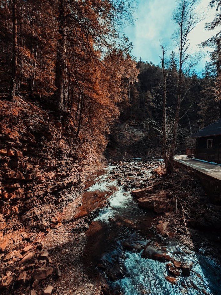 Idyllic River Through The Woods 2