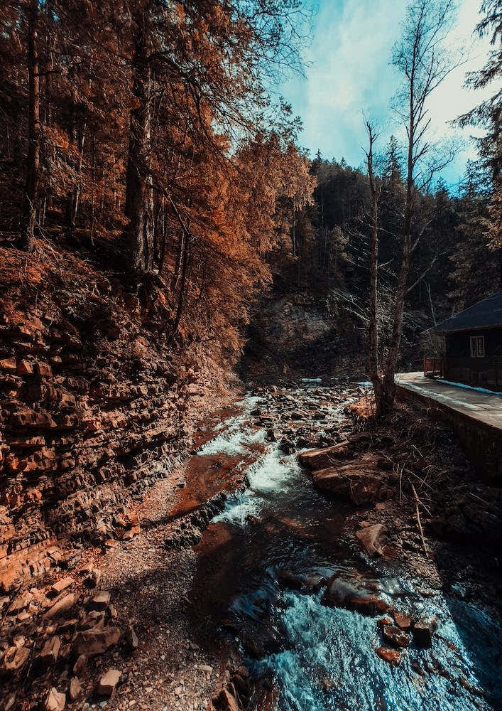 Idyllic River Through The Woods 2