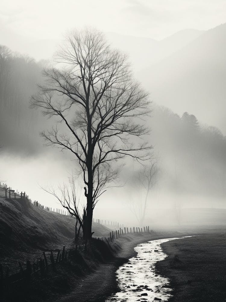 Great Smoky Black And White Analogue Photograph 1