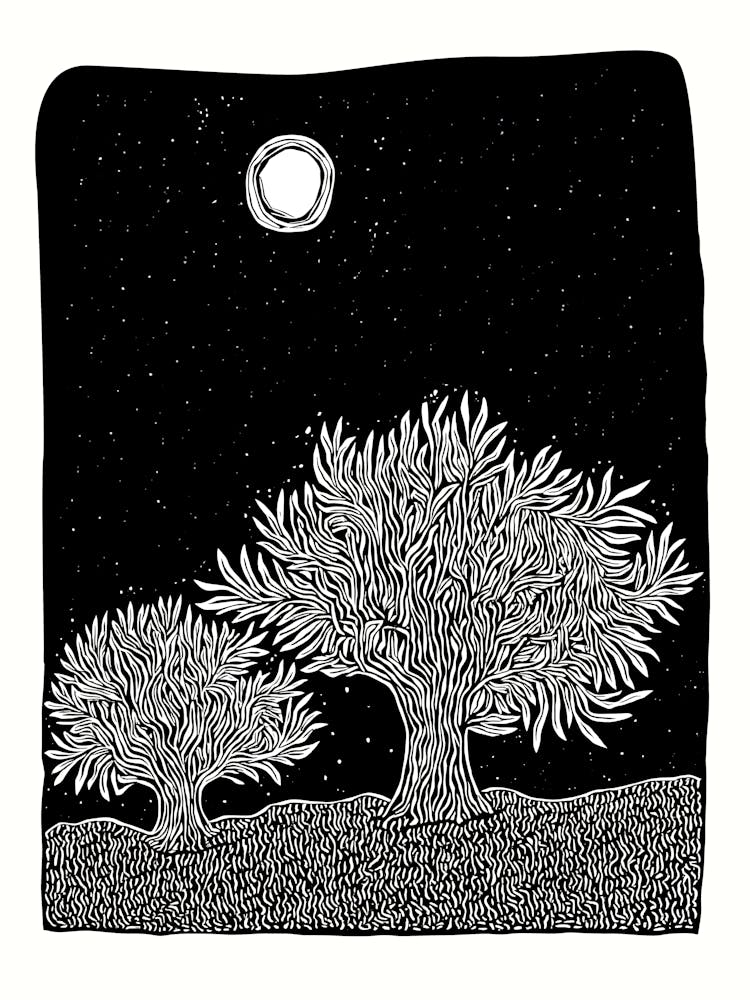 Moon And Trees