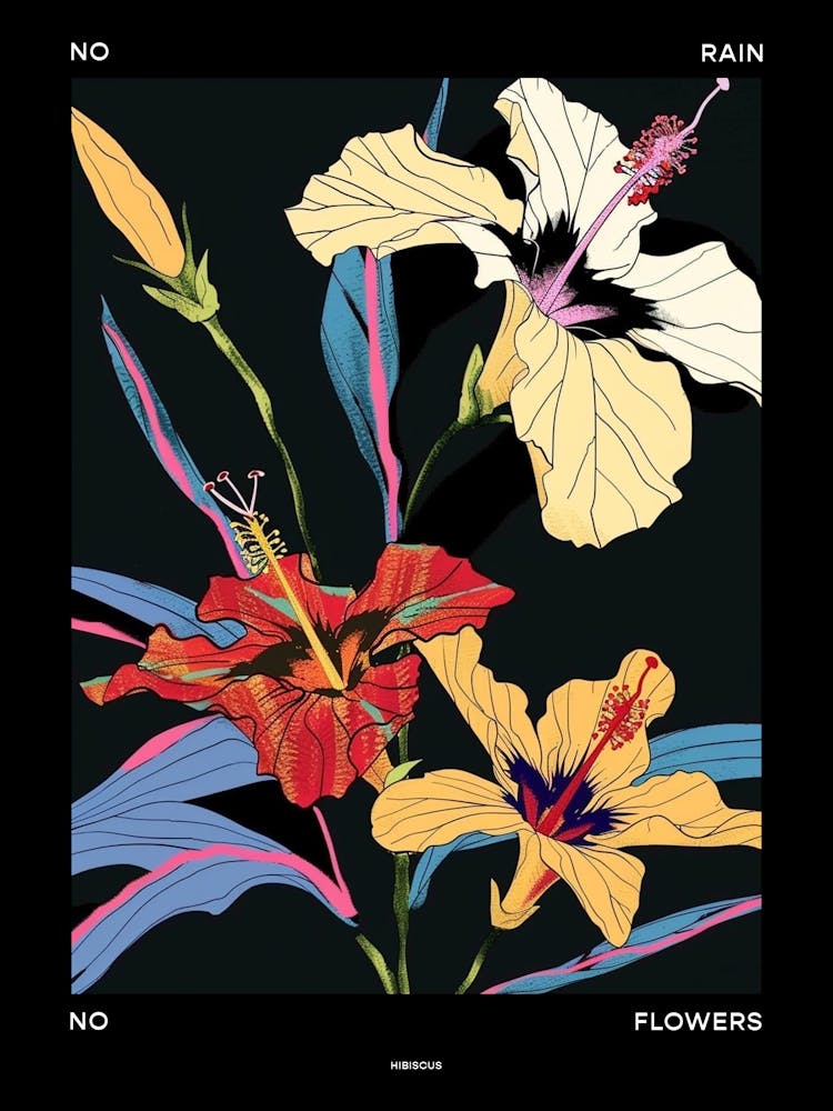 No Rain No Flowers Poster Hibiscus 2