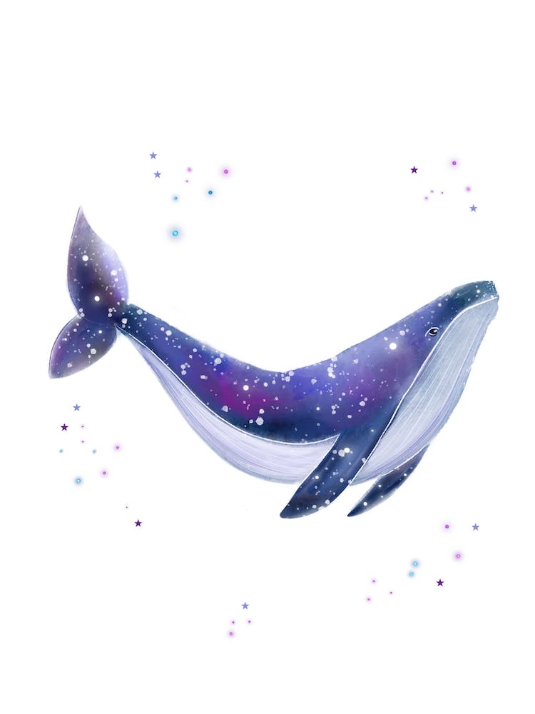 Galaxy Whale