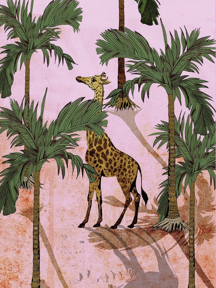 Giraffe In The Trees