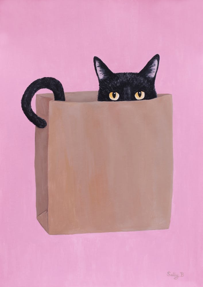 Black Cat In Paper Bag