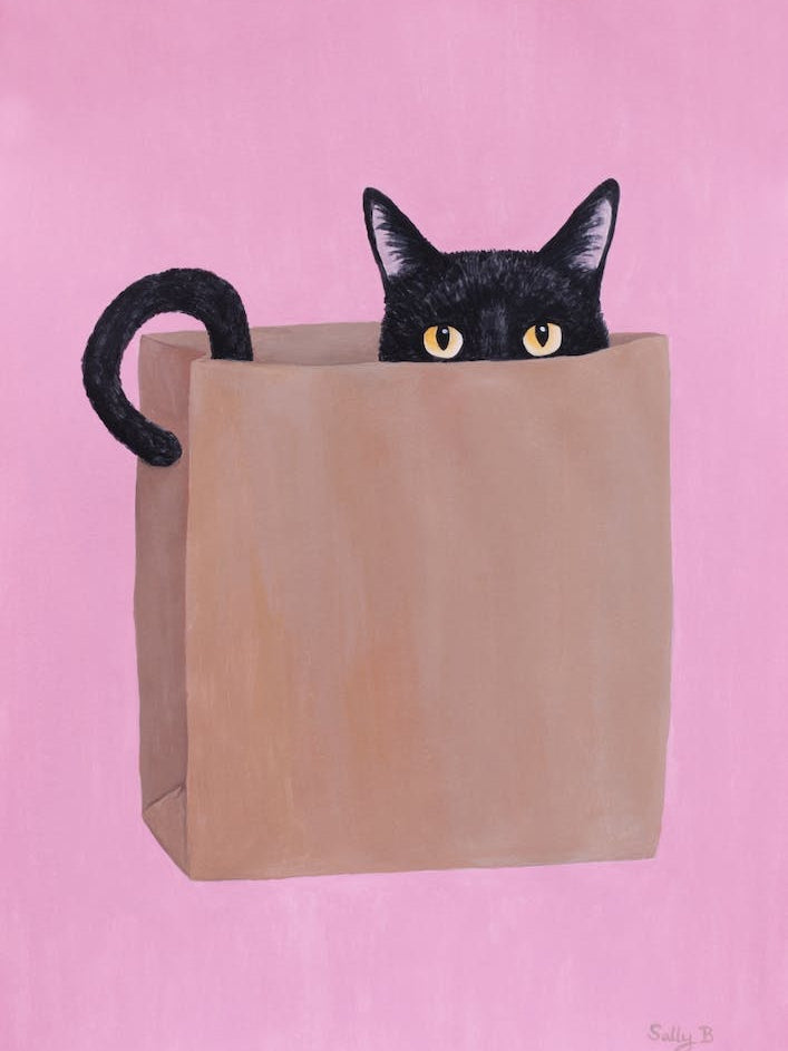 Black Cat In Paper Bag