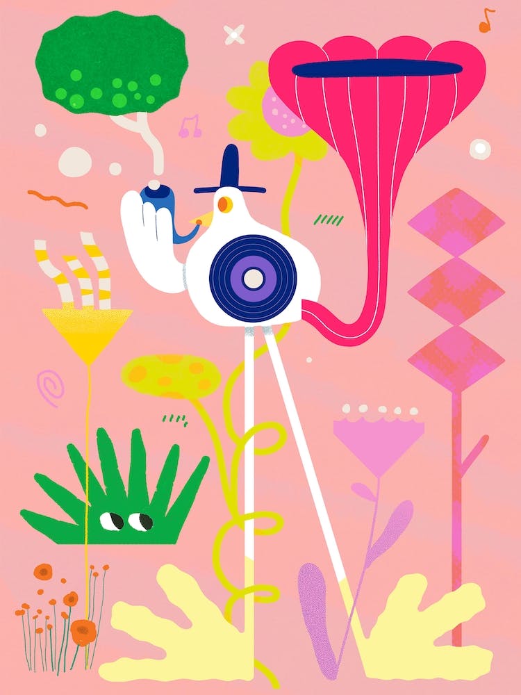 Bird Call
