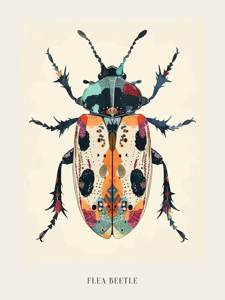 Colourful Insect Illustration Flea Beetle 12 Poster