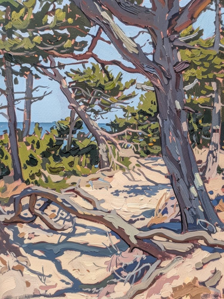 Pine Trees On The Beach