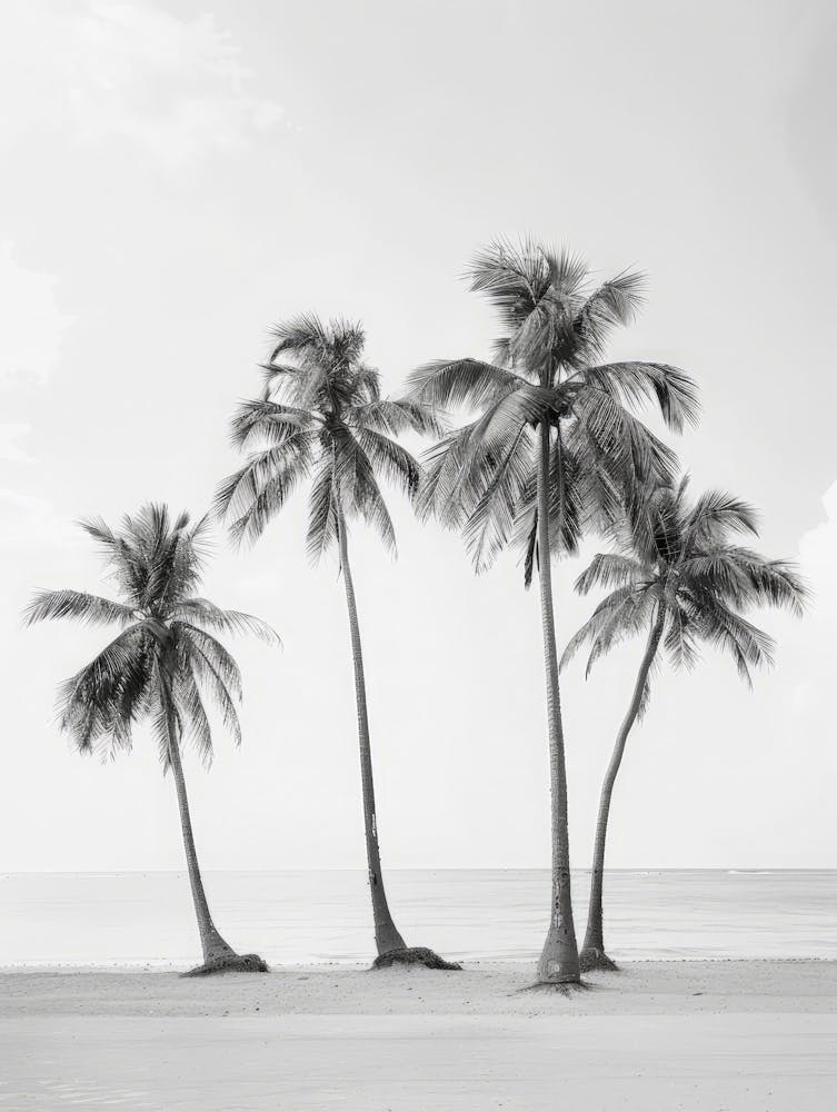 Three Palm Trees On The Beach 3