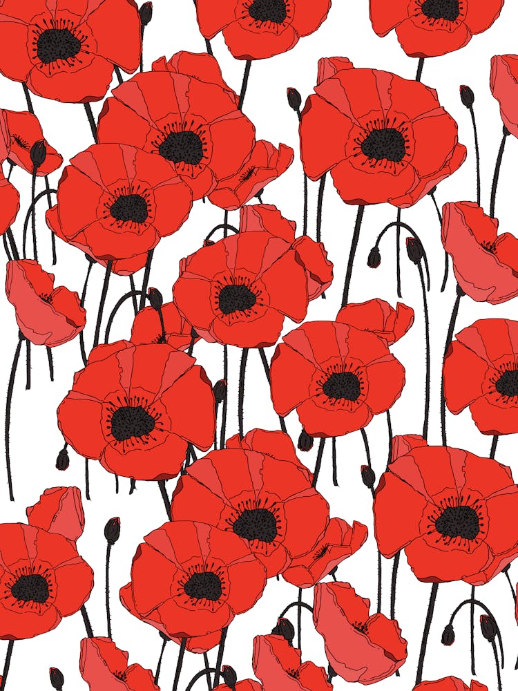 Red Poppies Pattern Meadow