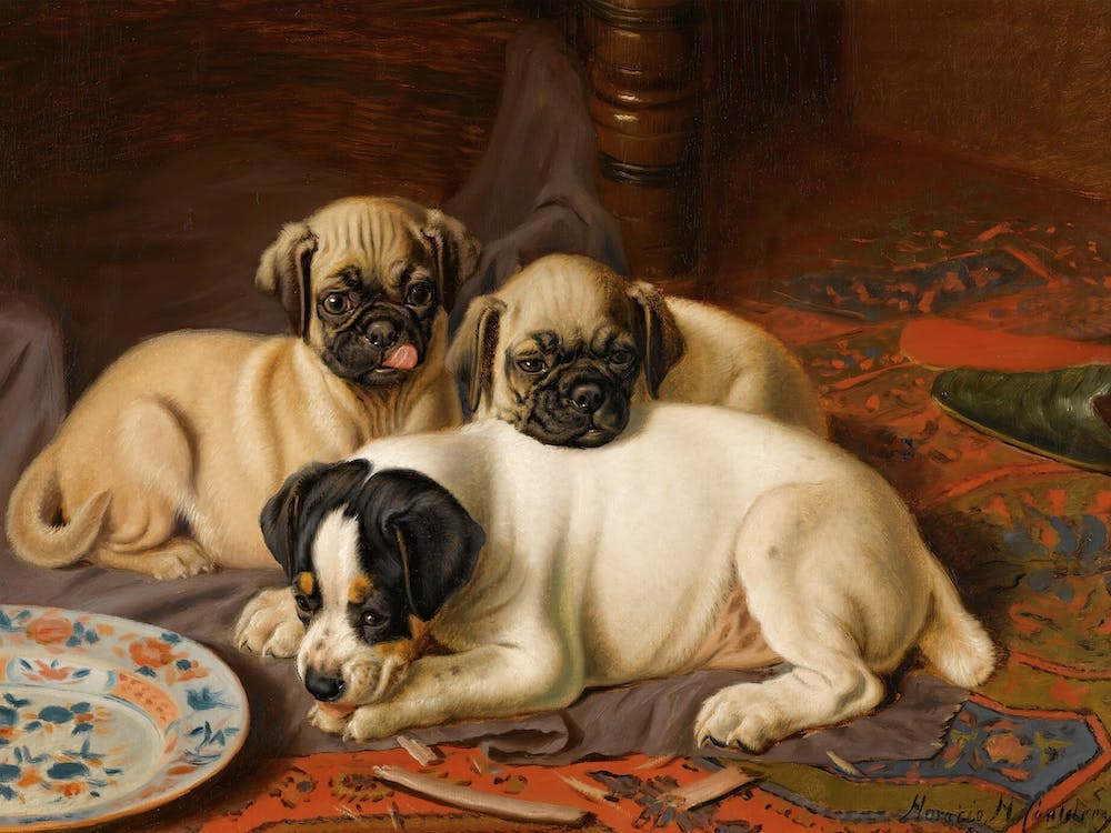 Dinner, Two Pugs And A Terrier, Horatio Henry Couldery