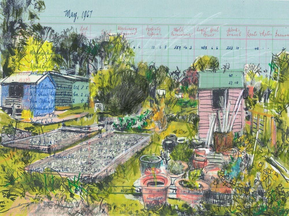 A Run By The Allotment