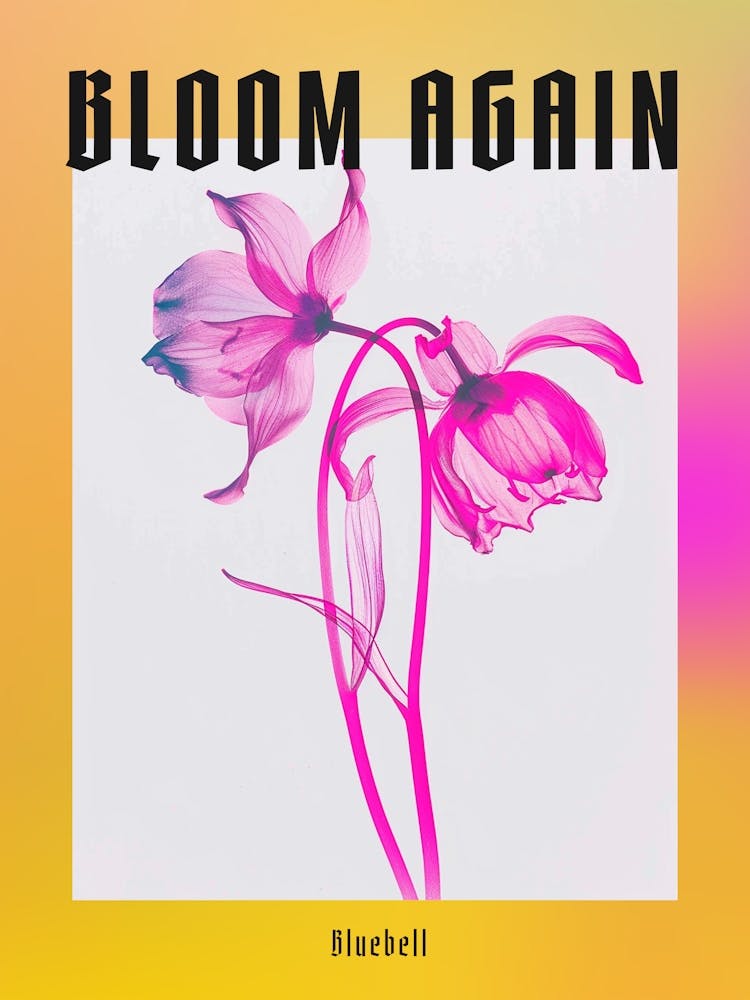 Hot Pink Bluebell 2 Poster