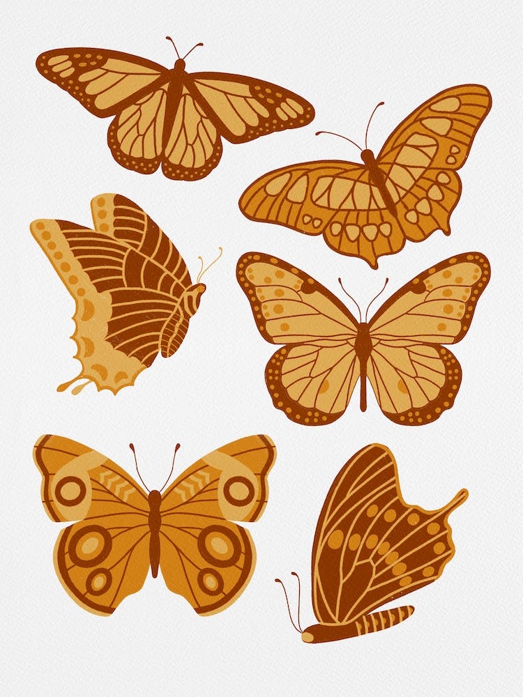 Texas Papillons   Jaune Doré
