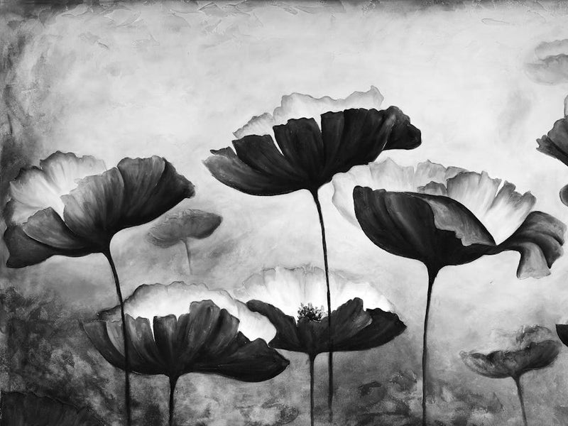 Black And White Poppies 6
