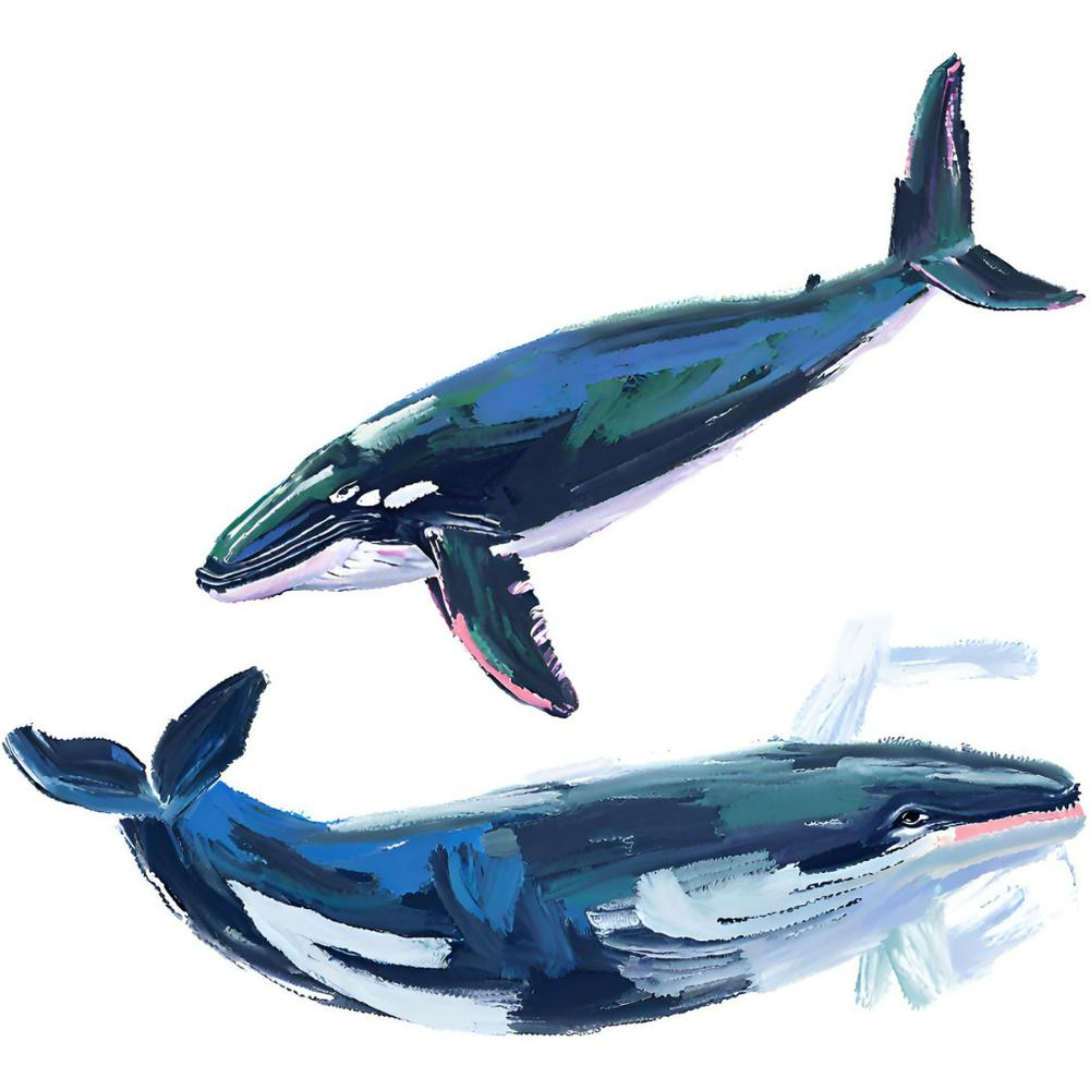 Humpback Whale 05