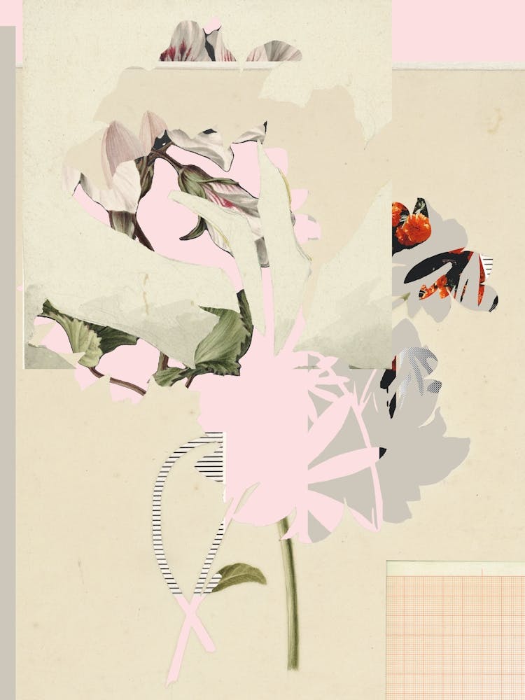 The First Plant · Liniert Und Kariert