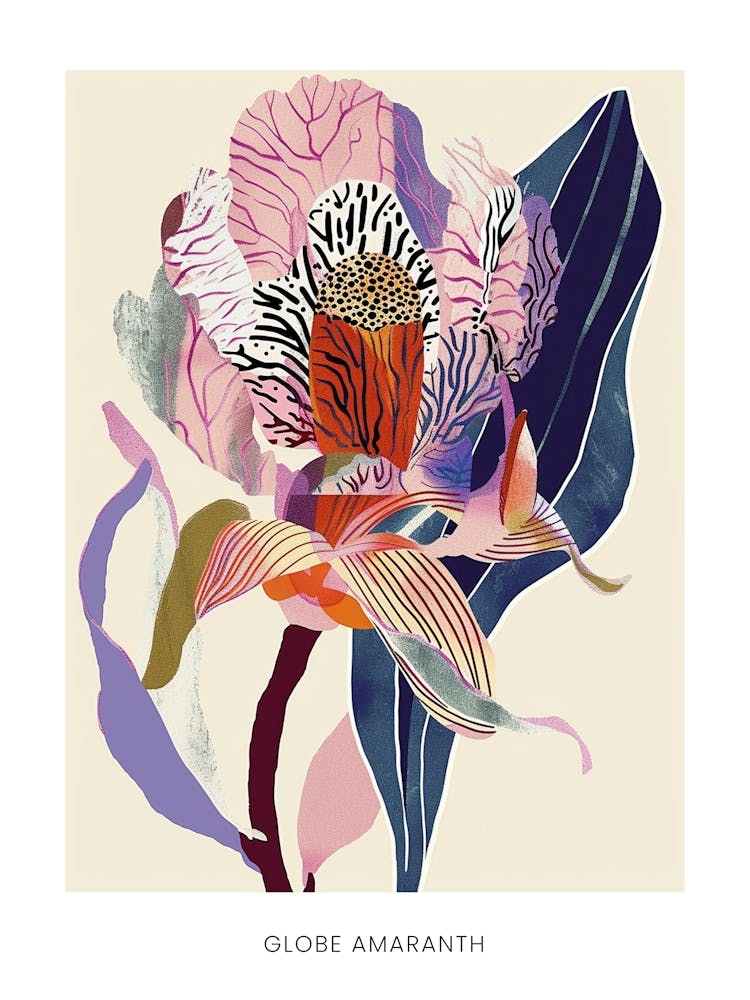 Colourful Flower Illustration Poster Globe Amaranth 2