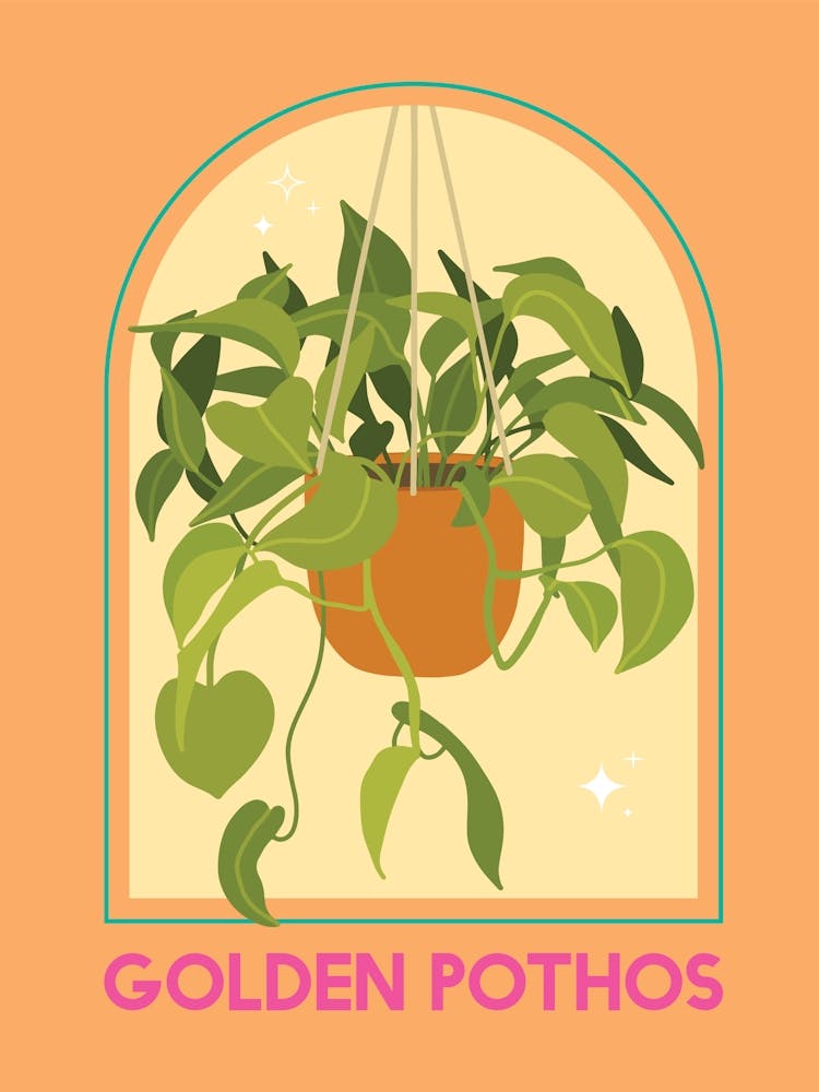 Golden Pothos
