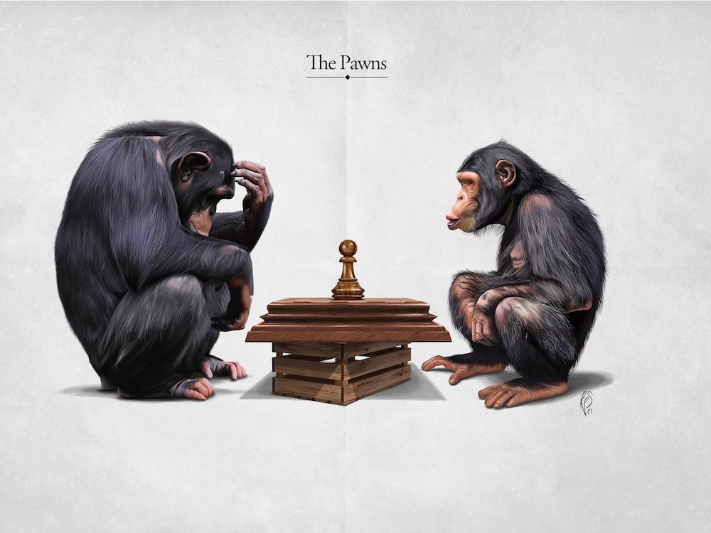 The Pawns