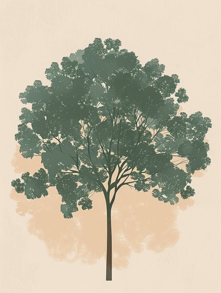Linden Tree Minimal Japandi Illustration 1