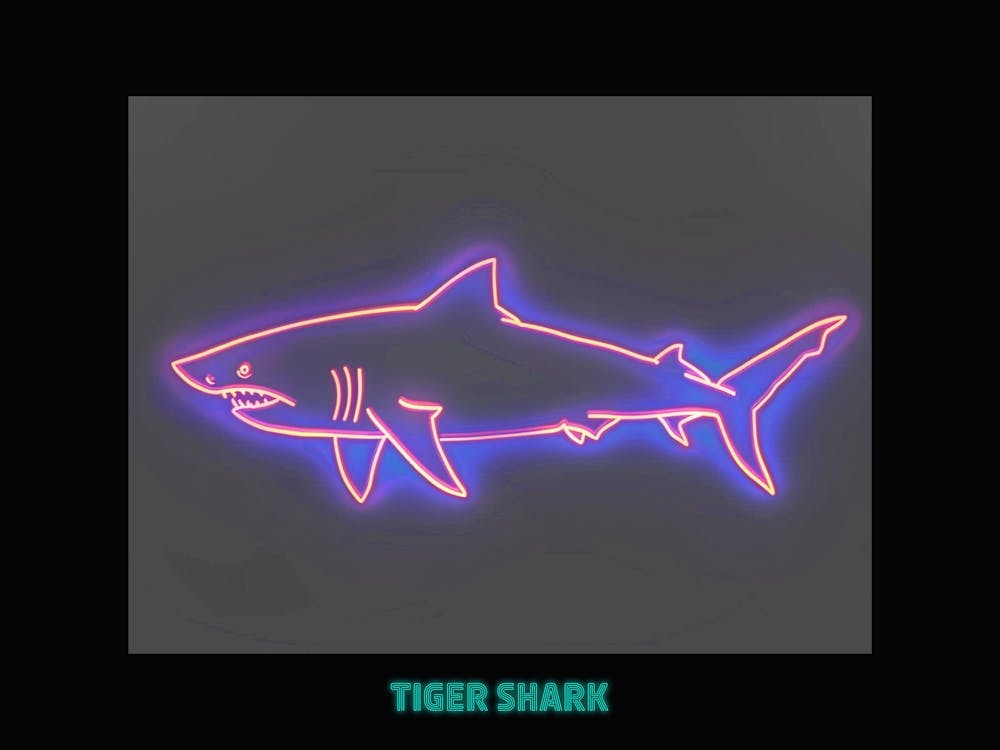 Pink Tiger Neon Shark 5 Poster