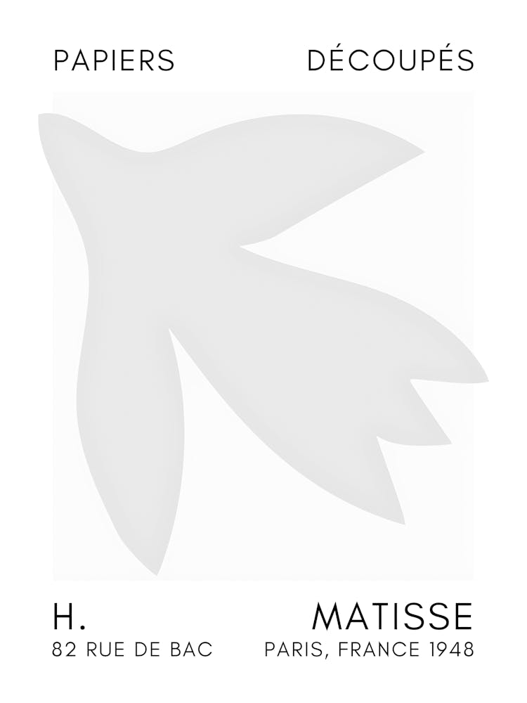 Matisse 19