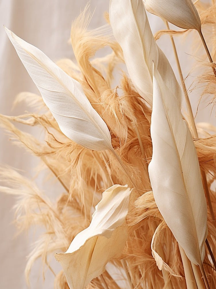 Boho Dried Flowers Heliconia 3