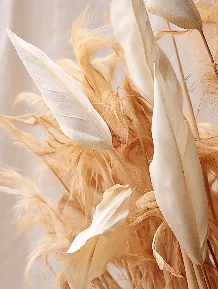 Boho Dried Flowers Heliconia 3