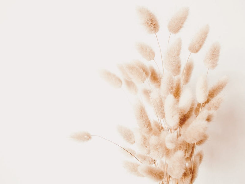 Bunny Tails