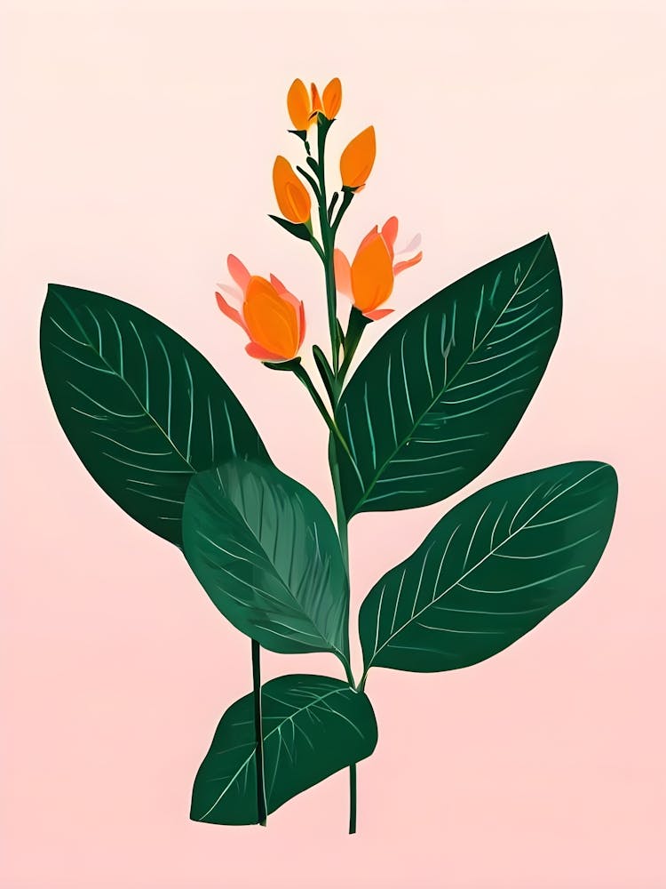 Hibiscus 14