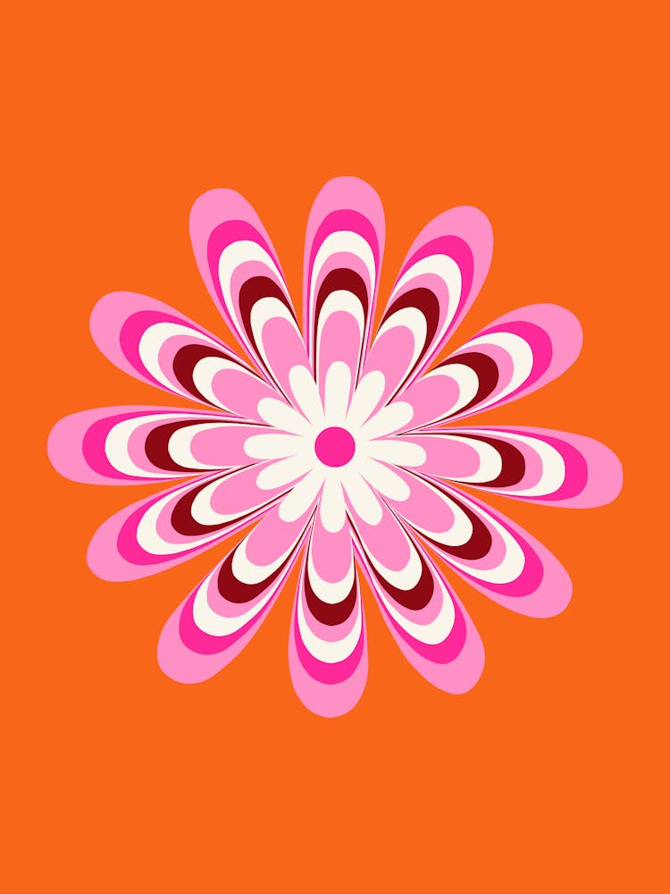 Daisy | 04 - Orange And Pink