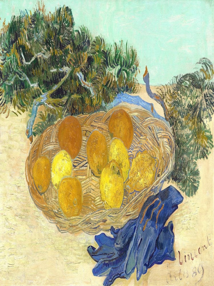 Basket Of Oranges