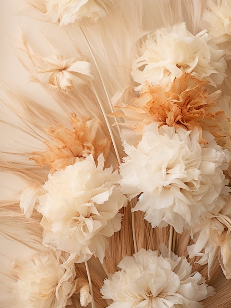 Boho Dried Flowers Carnation 5