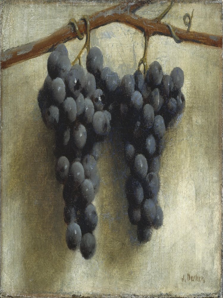 Grapes On A Branch 1