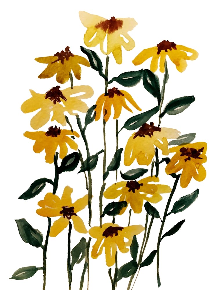 Yellow Daisies