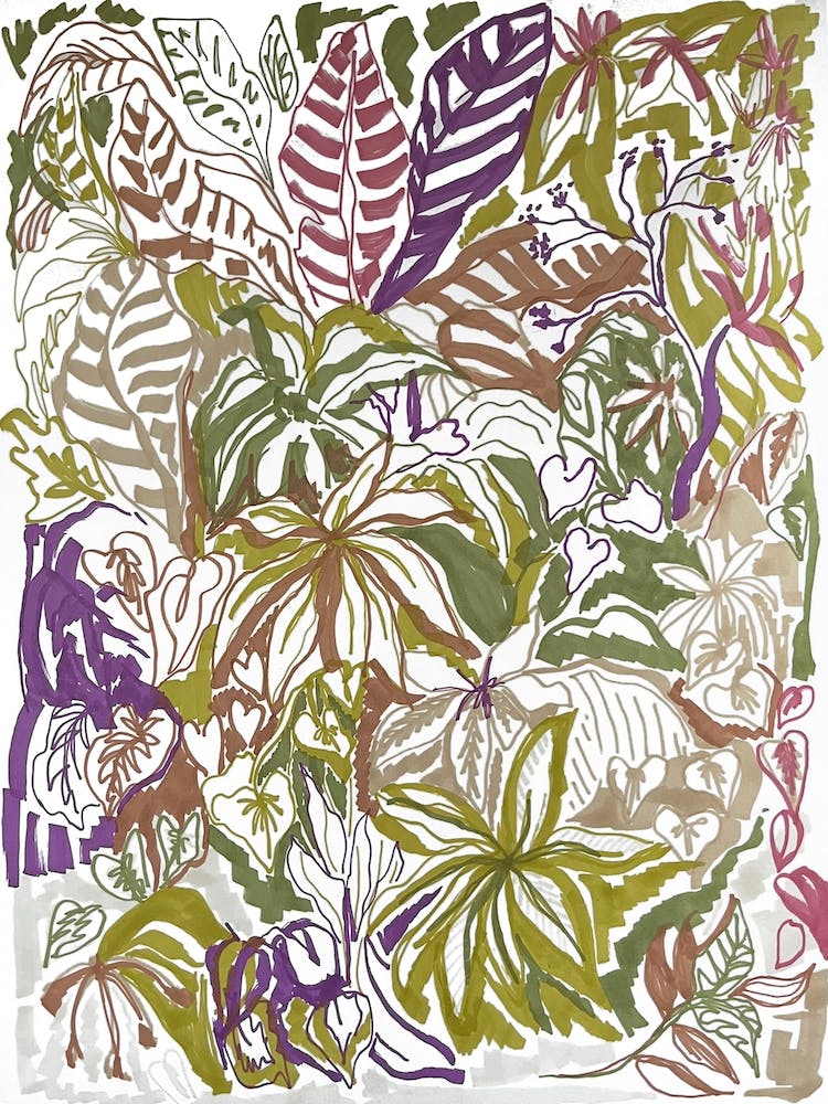 Jungle