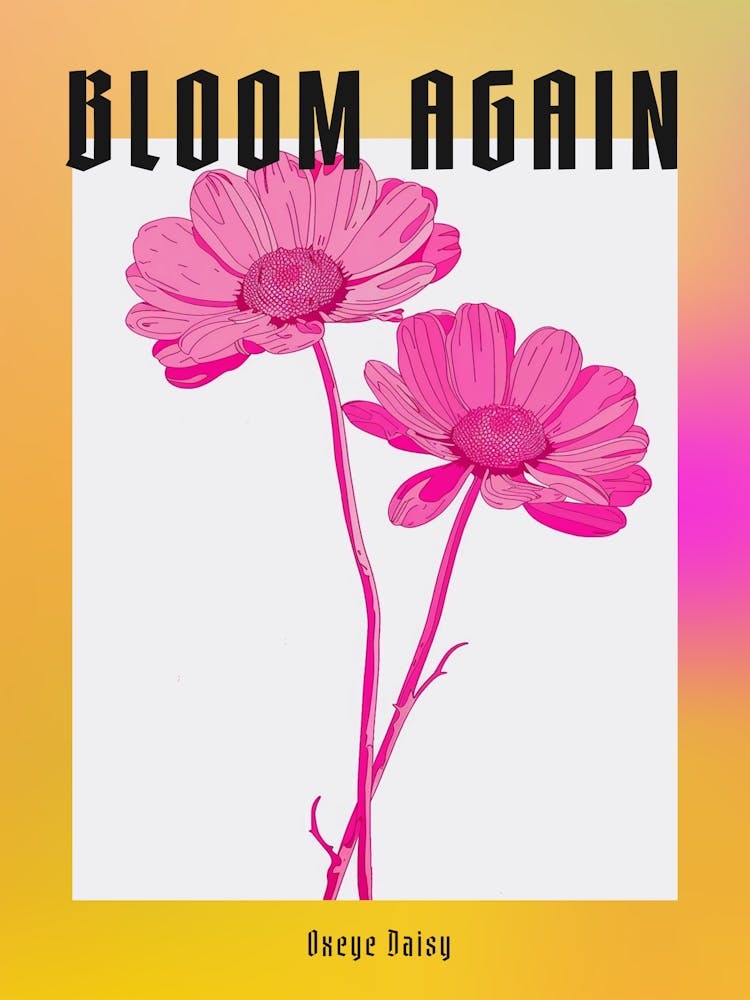 Hot Pink Oxeye Daisy 2 Poster