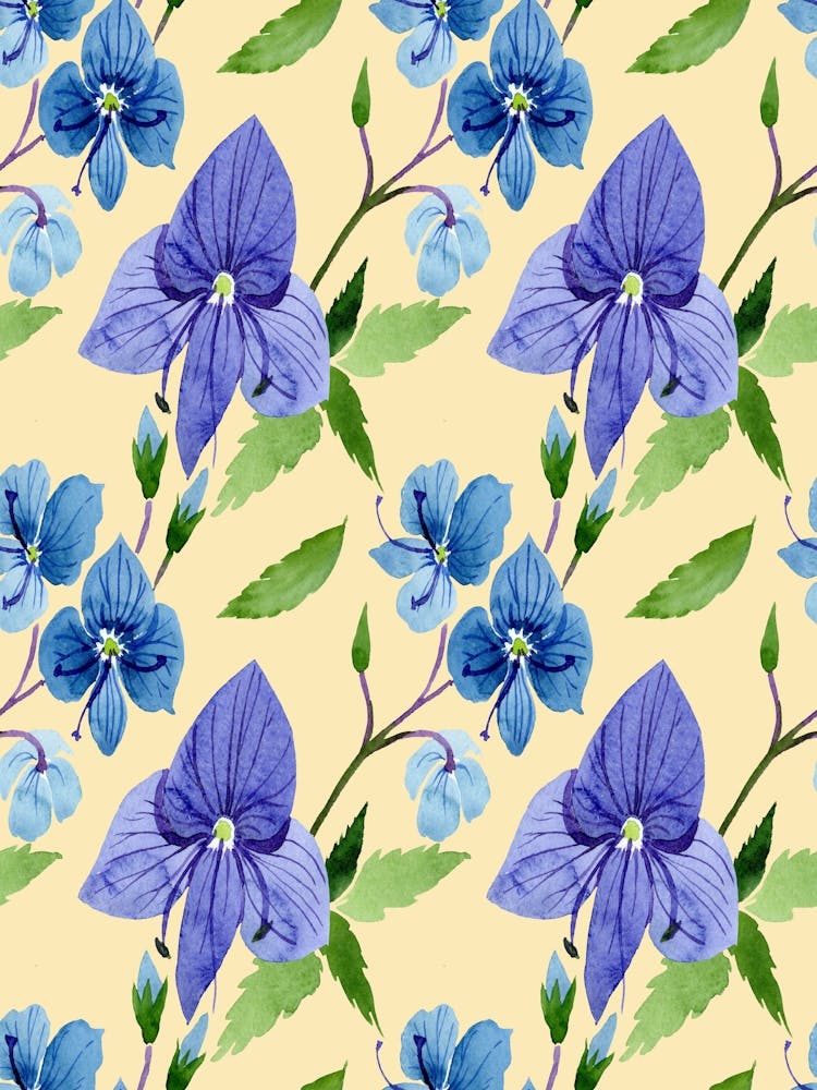 Blue Hydrangeas - Veronica blue flower