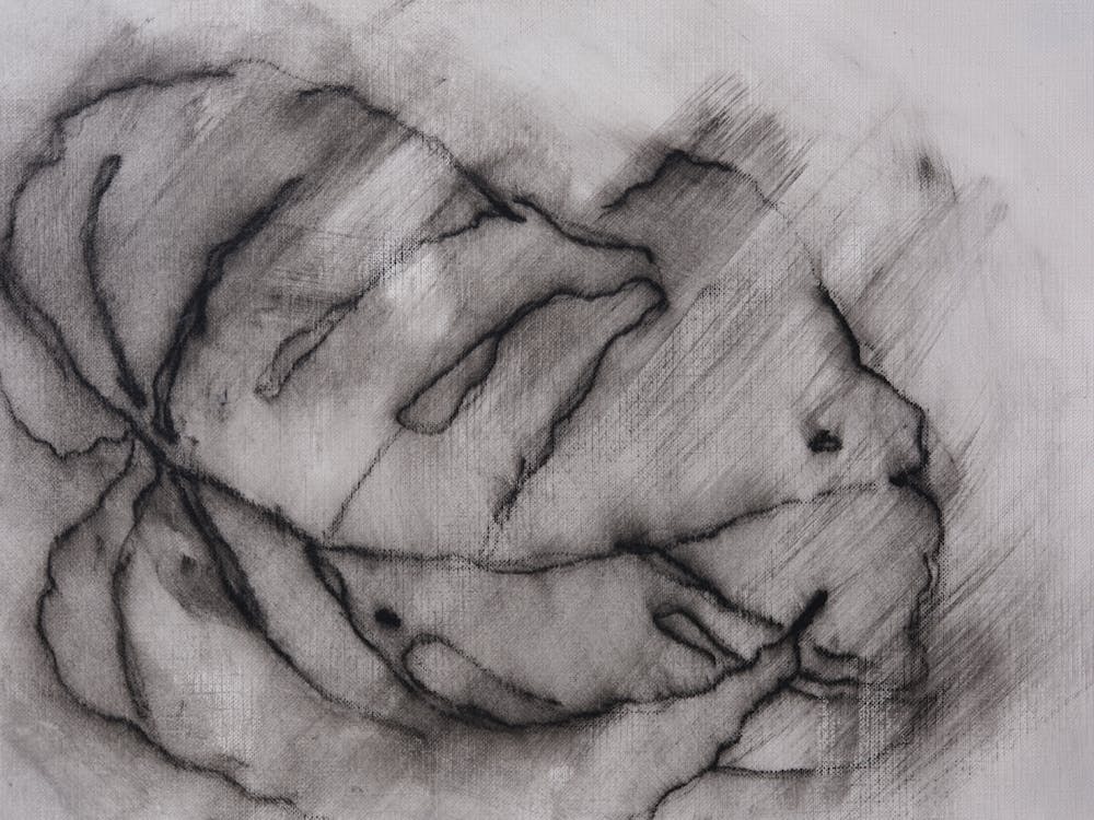 Dwindle - CampbellReedStudio (2024) 002