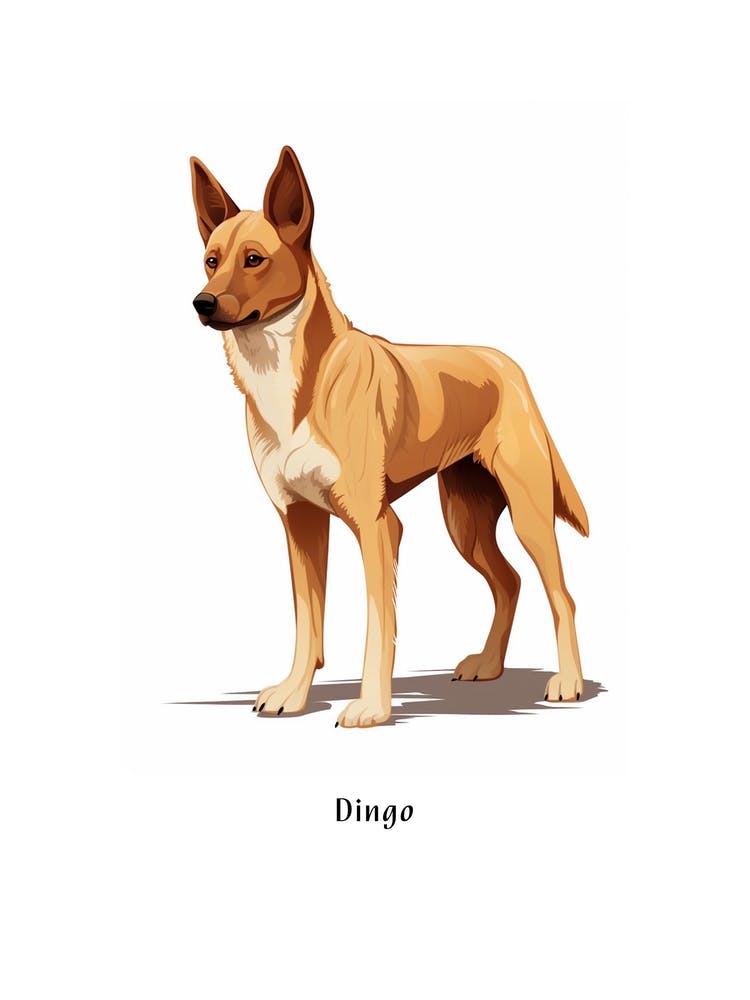 Dingo Kids Animal Poster