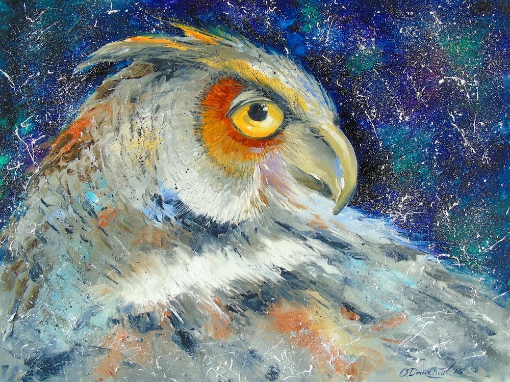 The look of an owl