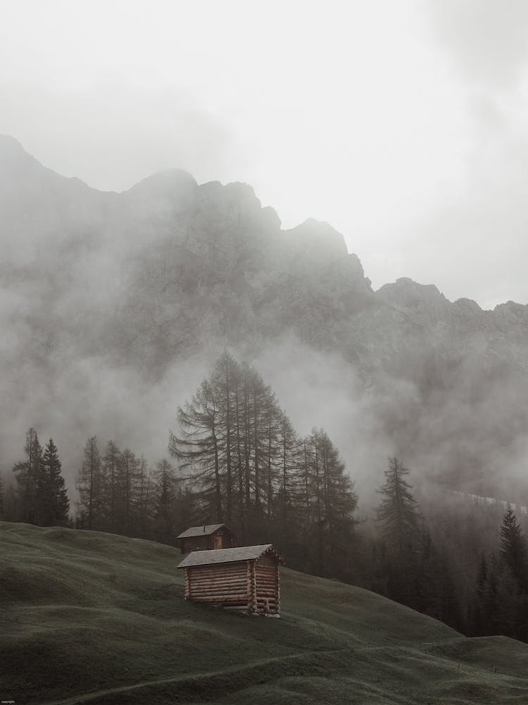 Foggy Hillside Cabins