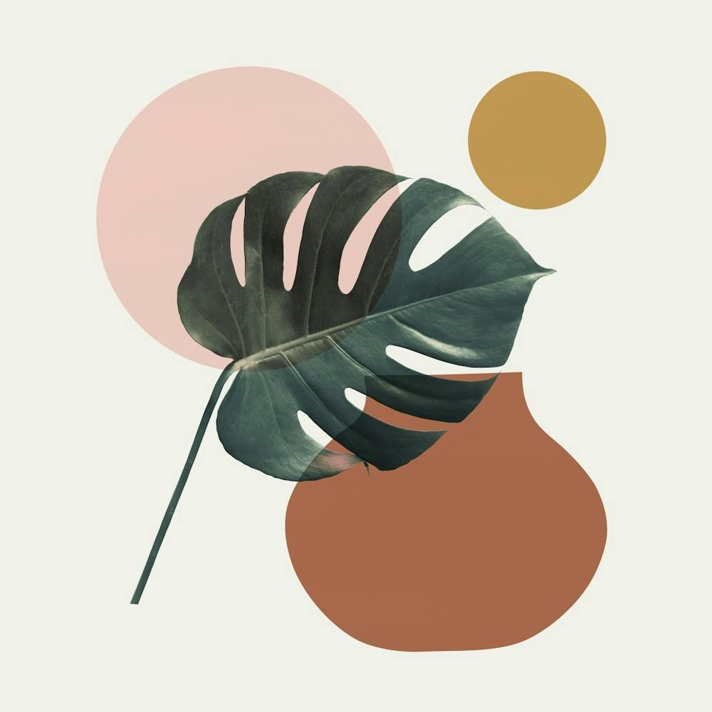Harmonious floral composition 4