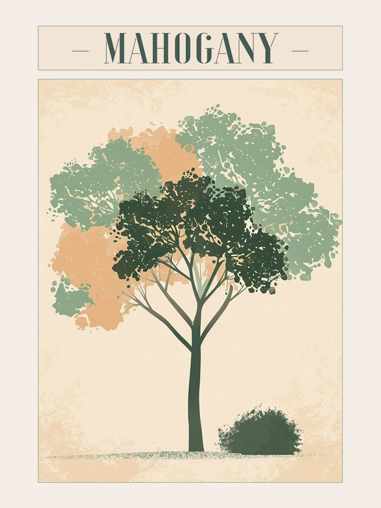 Mahogany Tree Minimal Japandi Illustration 2 Poster