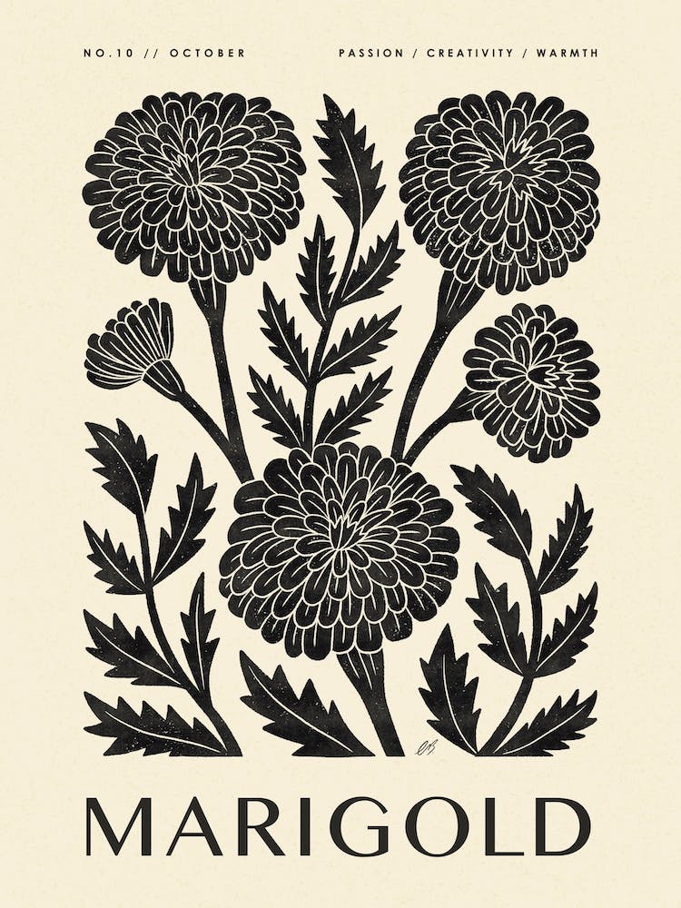 Rustic October Birth Flower Marigold Black Cream