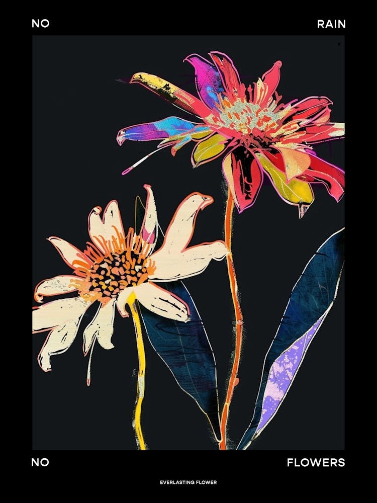 No Rain No Flowers Poster Everlasting Flower 4