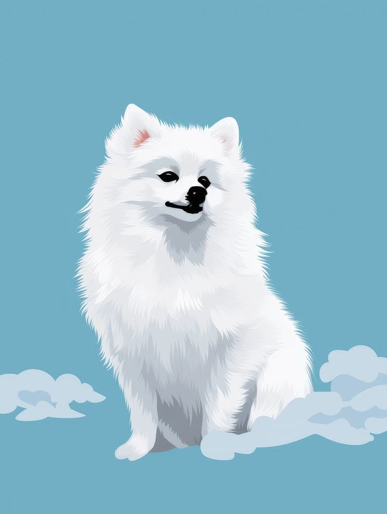 Pomeranian
