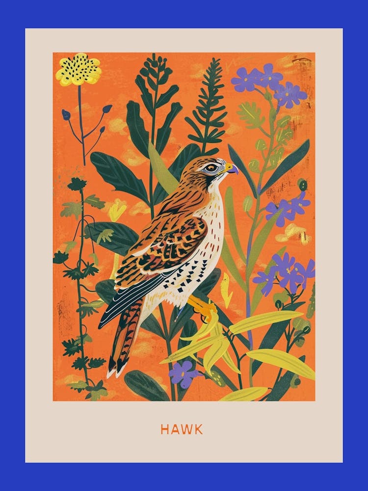 Spring Birds Poster Hawk 1